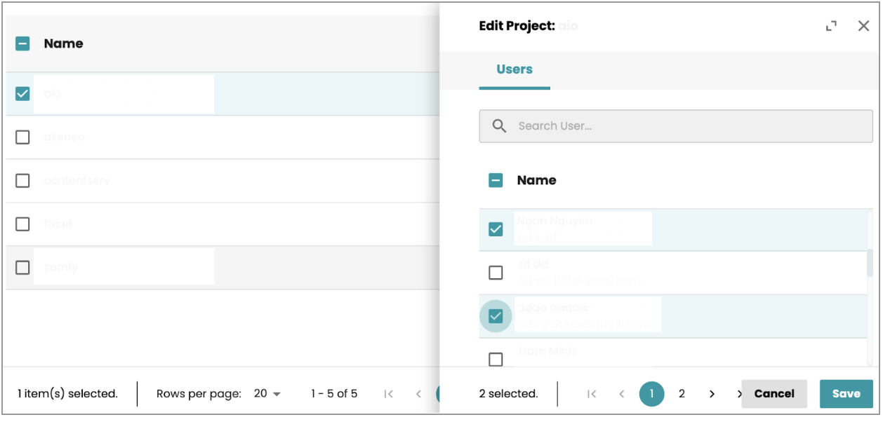 Project screen